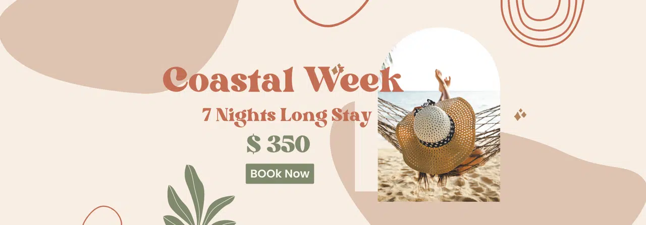 Special offer image